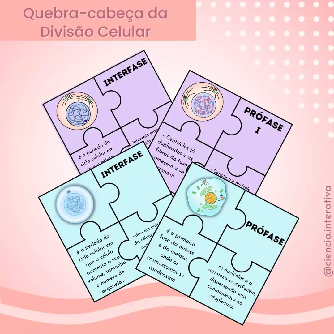 Crie um quebra cabeça on line: ele é digital e pode ser feito no celular.  Dica para suas aulas 