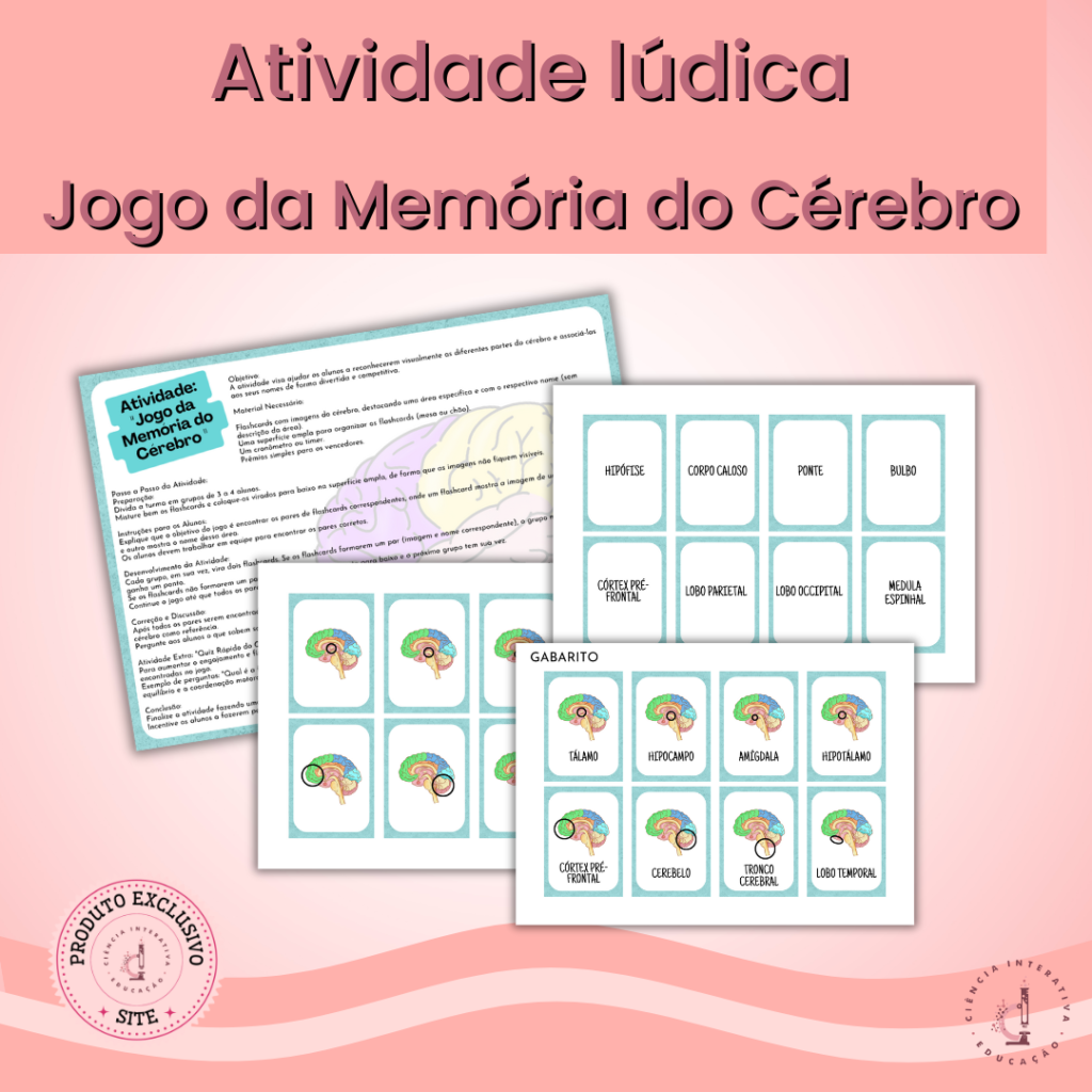 Jogo da Memória do Cérebro – Ciência Interativa